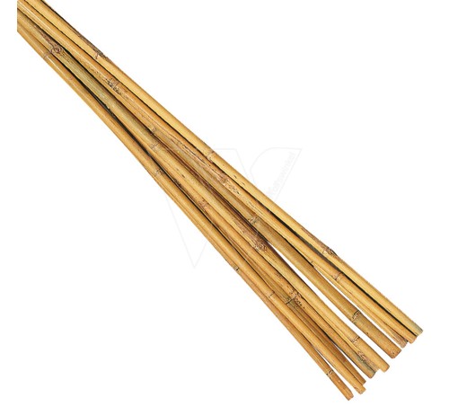 Bambusstab 210 cm (3 stück)