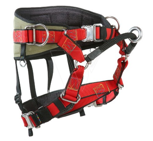 Climbing harness butterfly ii harness (m/l)