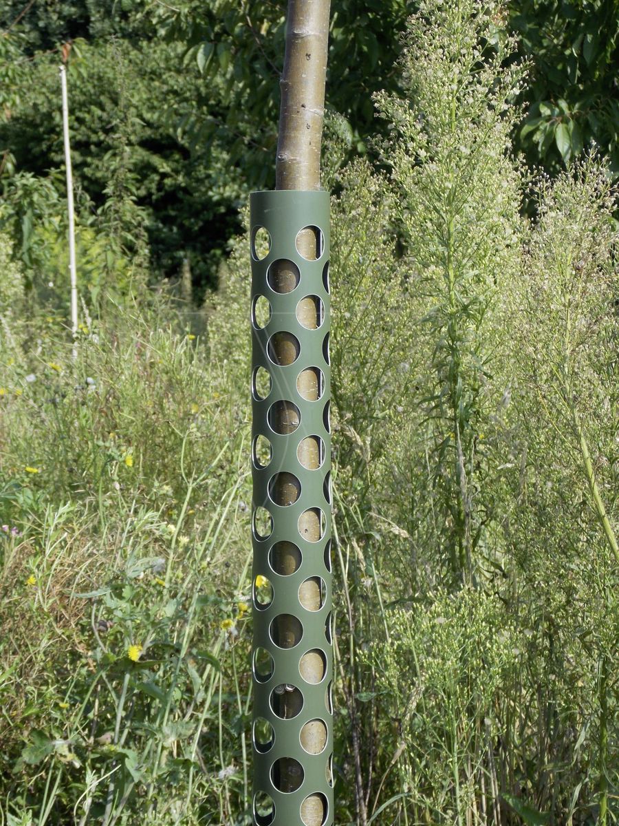 Plantagard boombeschermers 120 cm (1x)