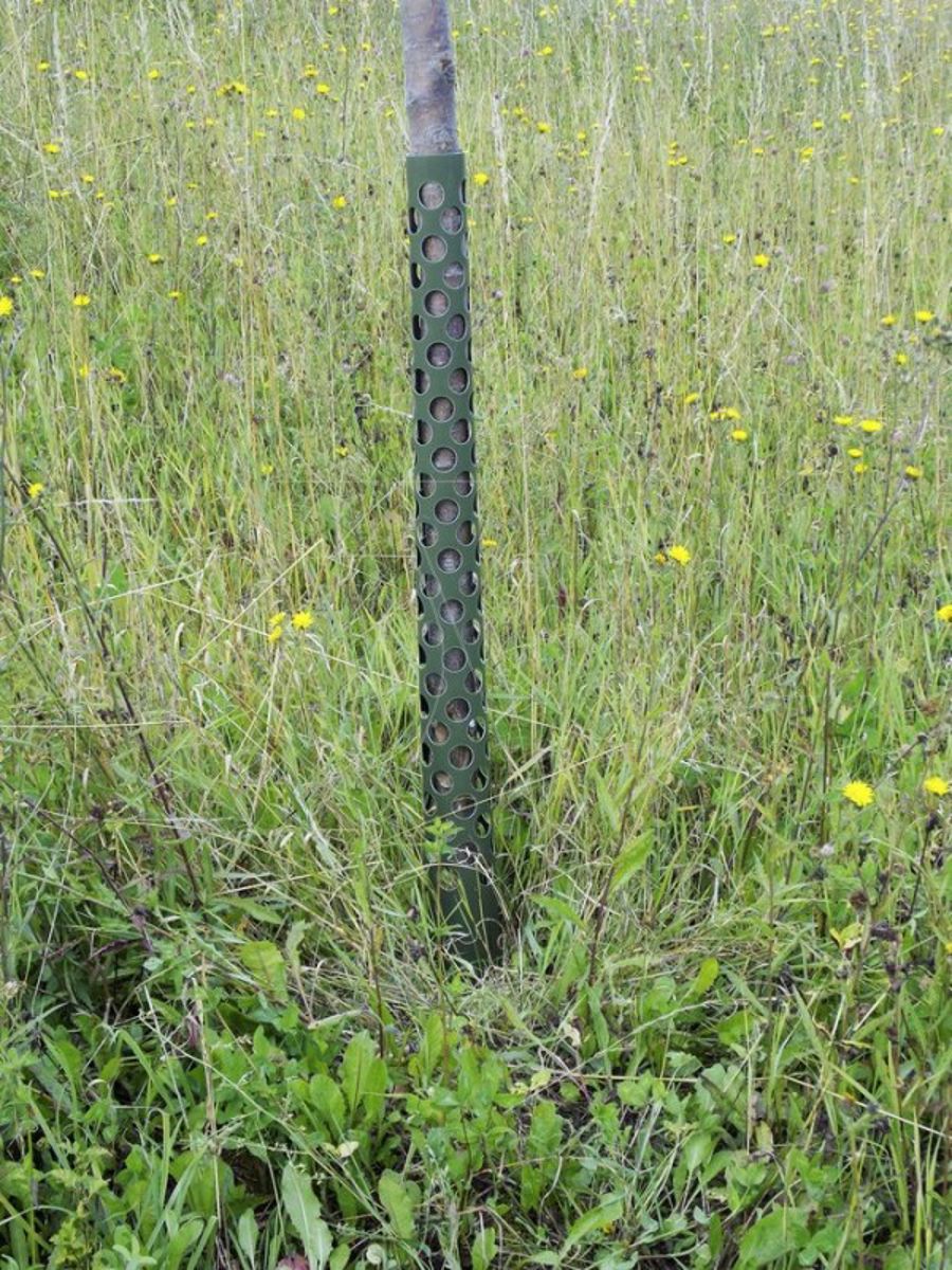 Protection des arbres PlantaGard anti-abroutissement