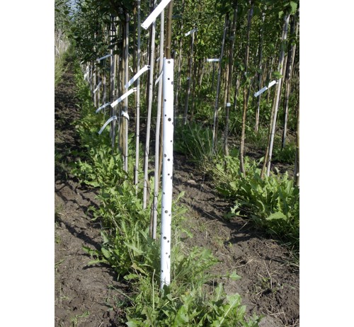 Plantagard boombeschermers 75cm (100x)