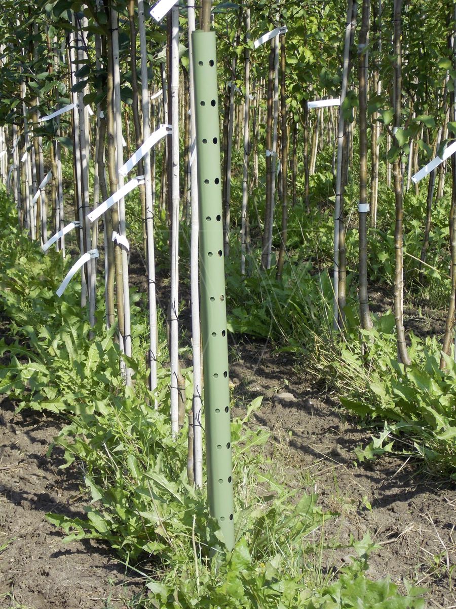 Plantagard boombeschermers 70cm (100x)