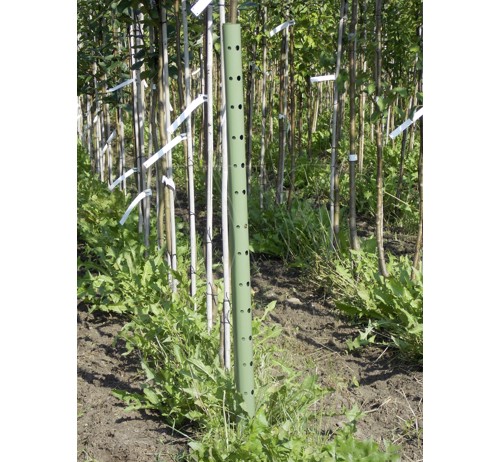 Plantagard boombeschermers 100cm (100x)
