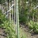 Plantagard boombeschermers 120cm (100x)