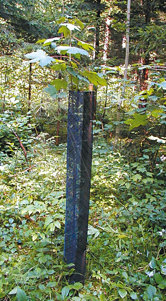 Plantagard beschermhoes 120cm 12cmø (1x)