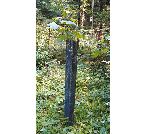 Plantagard beschermhoes 120cm 12cmø (1x)