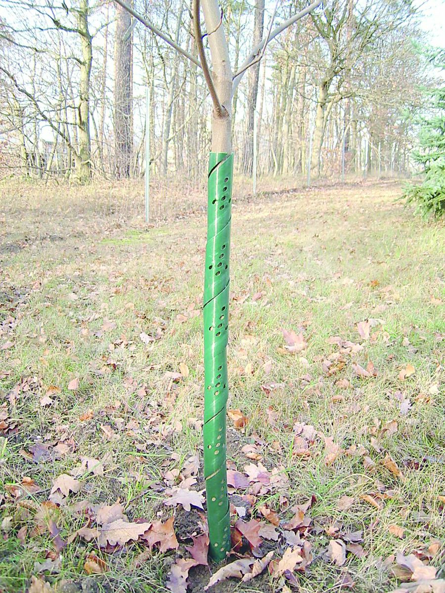 Regenbogen-baumschützer 75cm (100x)