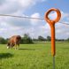 Gallagher ring top pole 1.00m (10)