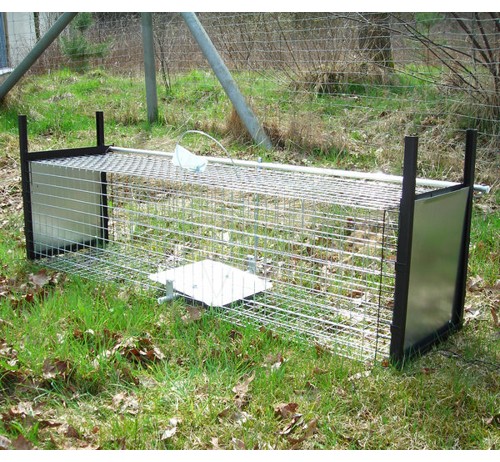 Trapping cage small wild animals like marten