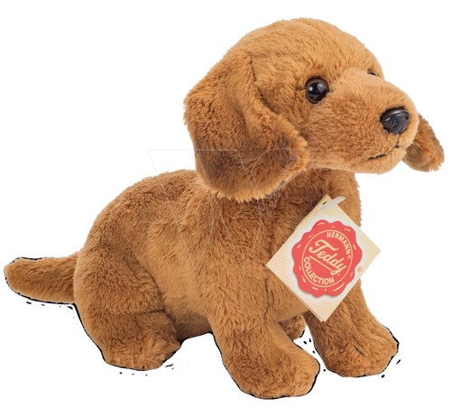 Hermann teddy dachshund plush is brown
