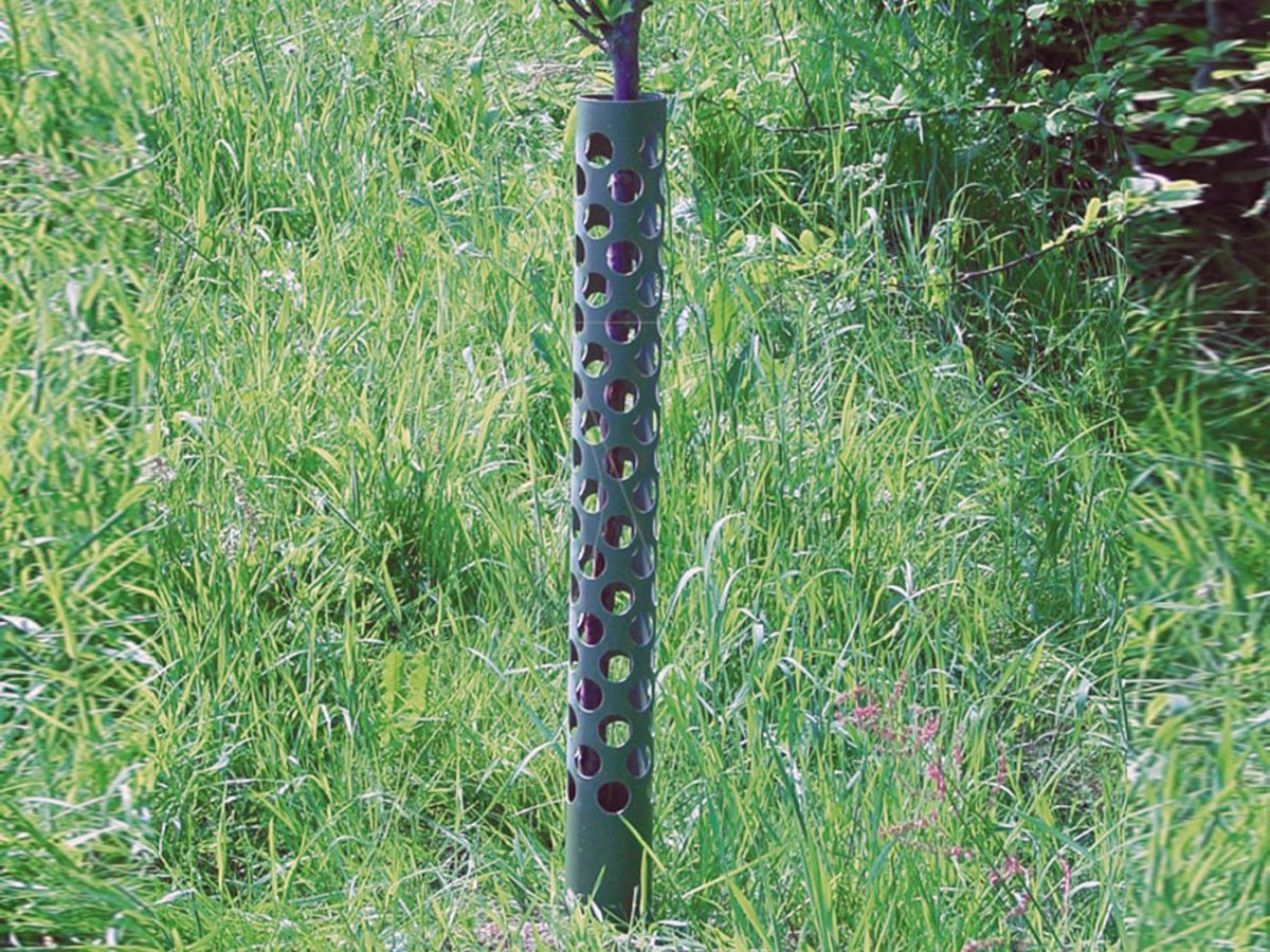 Plantagard boombeschermers 80 cm (1x)
