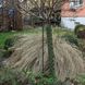 Plantagard boombeschermers 120 cm (1x)