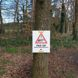 Danger sign only on oak processionary caterpillar