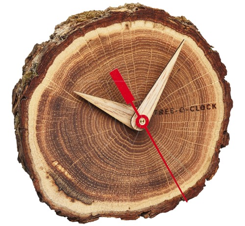 Wooden oak table clock tree-o-clock