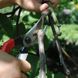 Okatsune pruning shears 104 large model