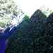 Okatsune hedge trimmer 230 long handle / jaw