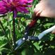 Okatsune cuttings scissors 307 hard stems