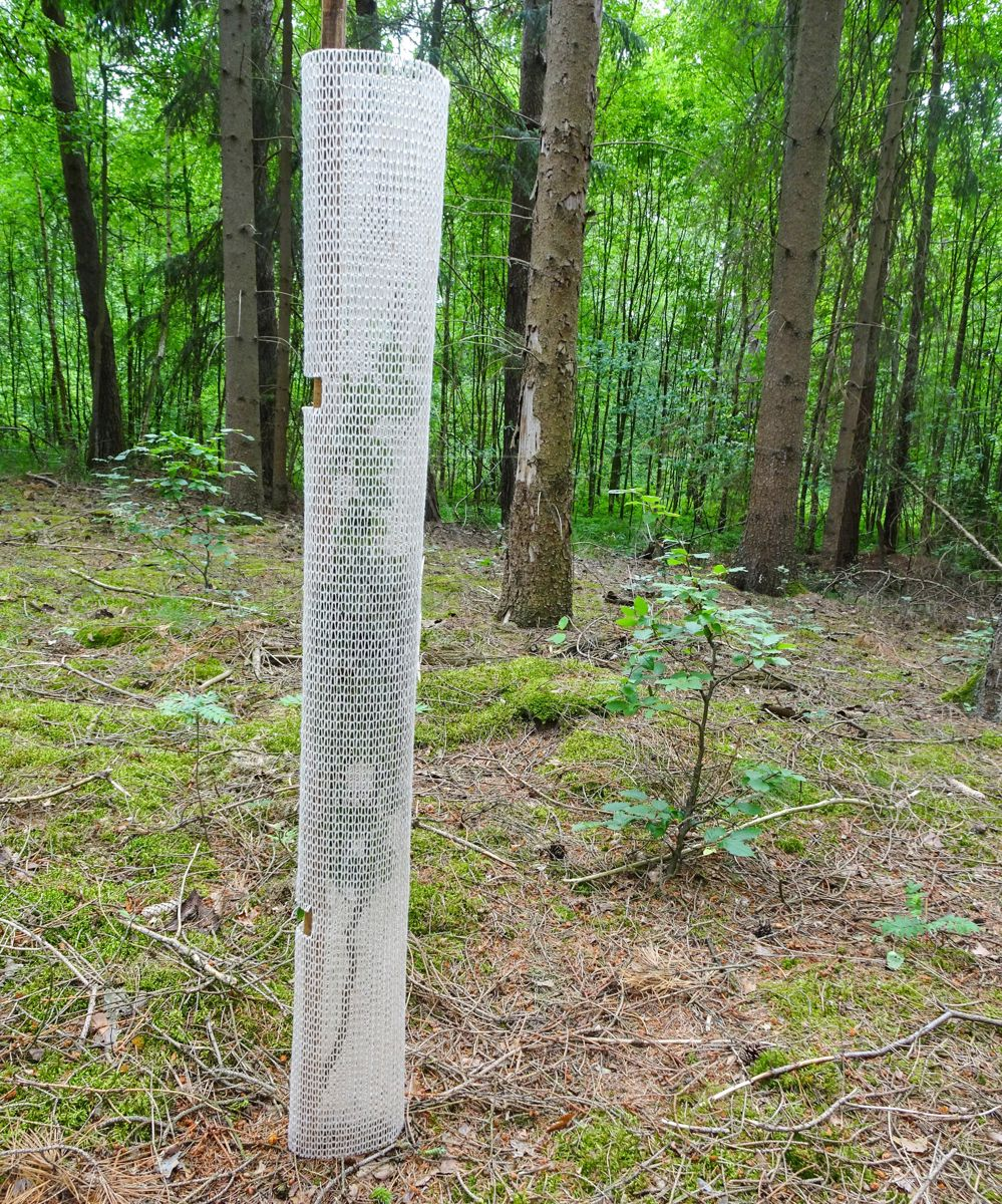 12 Stück Wildschutzspirale 90 cm Baumschutzspirale Baumschutz