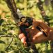 Fiskars powergear pruning shears lp961