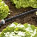 Gardena connection for irrigation hose