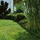 Gardena lawn edging (green)
