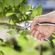 Gardena premium pruning shears bp 50